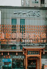 重庆一叶一花酒店案例